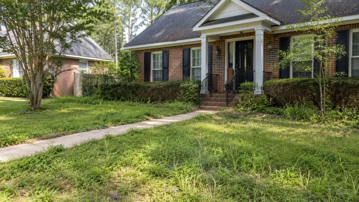 Overgrown front yard before landscaping